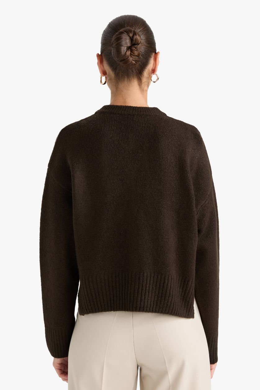 حريمي بني كارديجان تريكو قصة عادية برقبة مستديرة