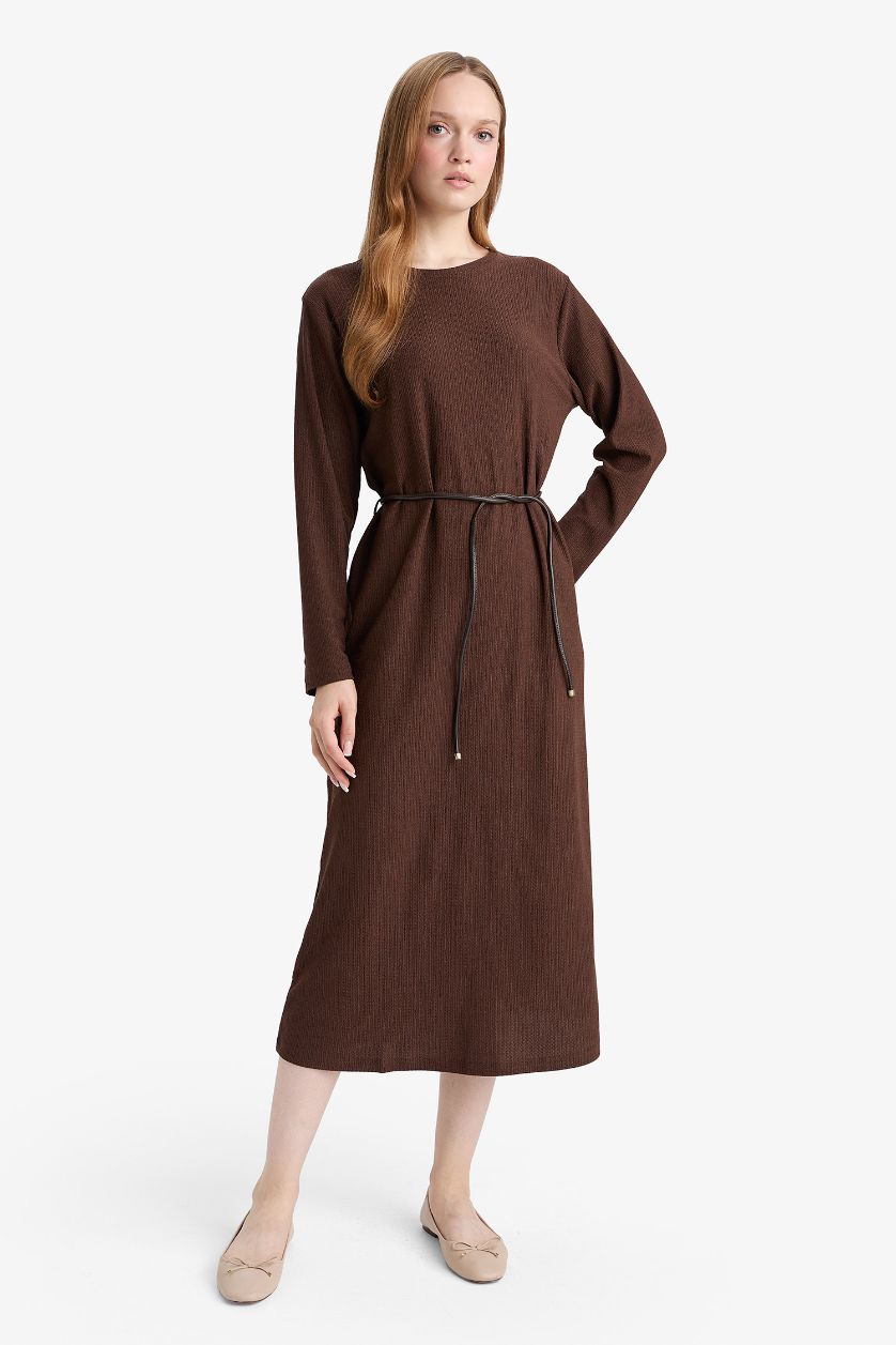 Woman Brown Regular Fit Dress