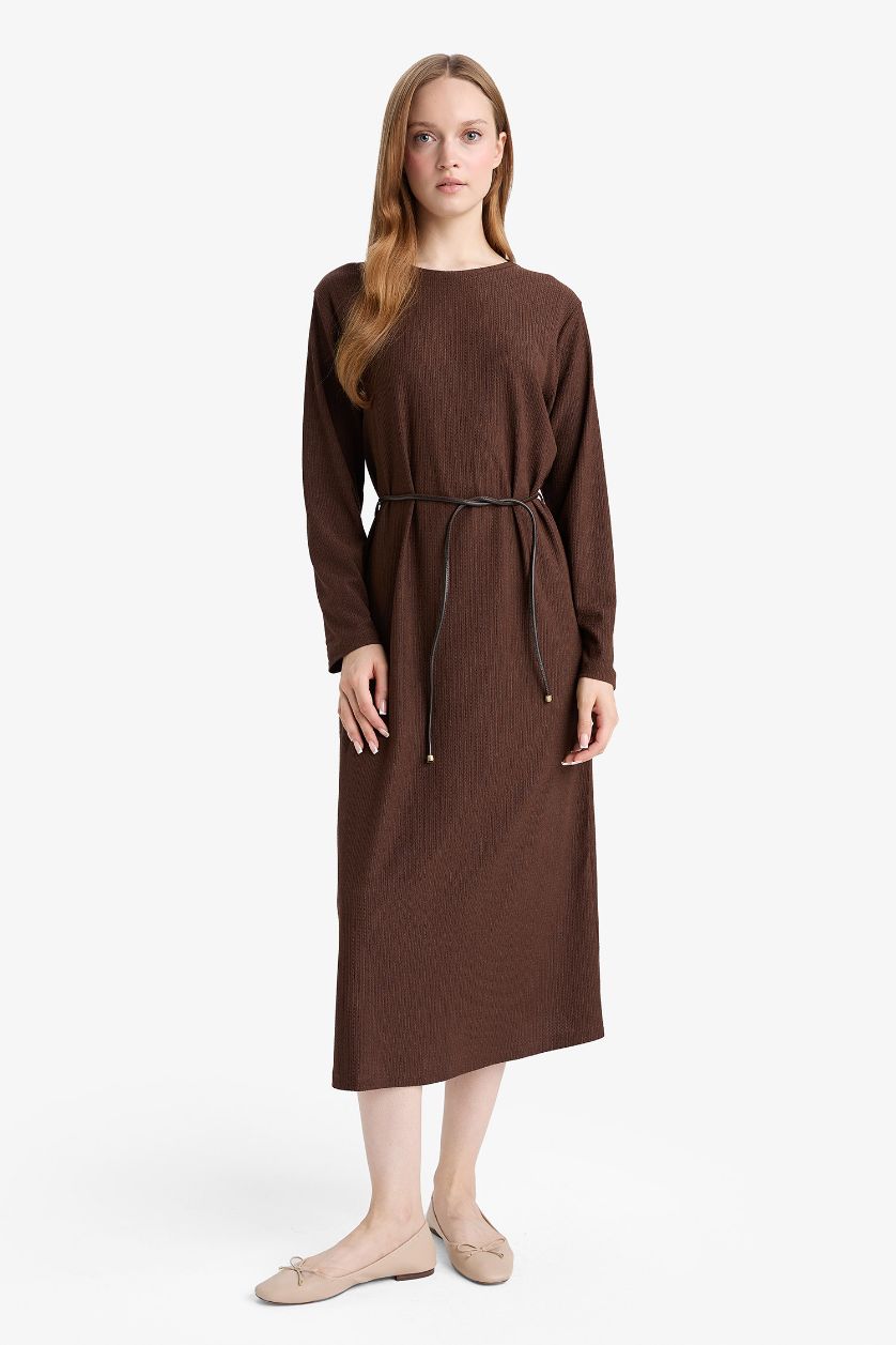 Woman Brown Regular Fit Dress