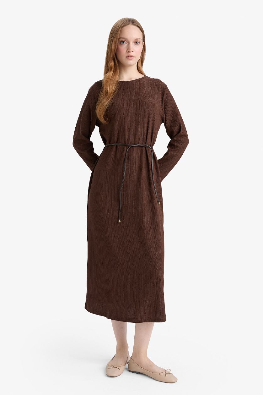 Woman Brown Regular Fit Dress