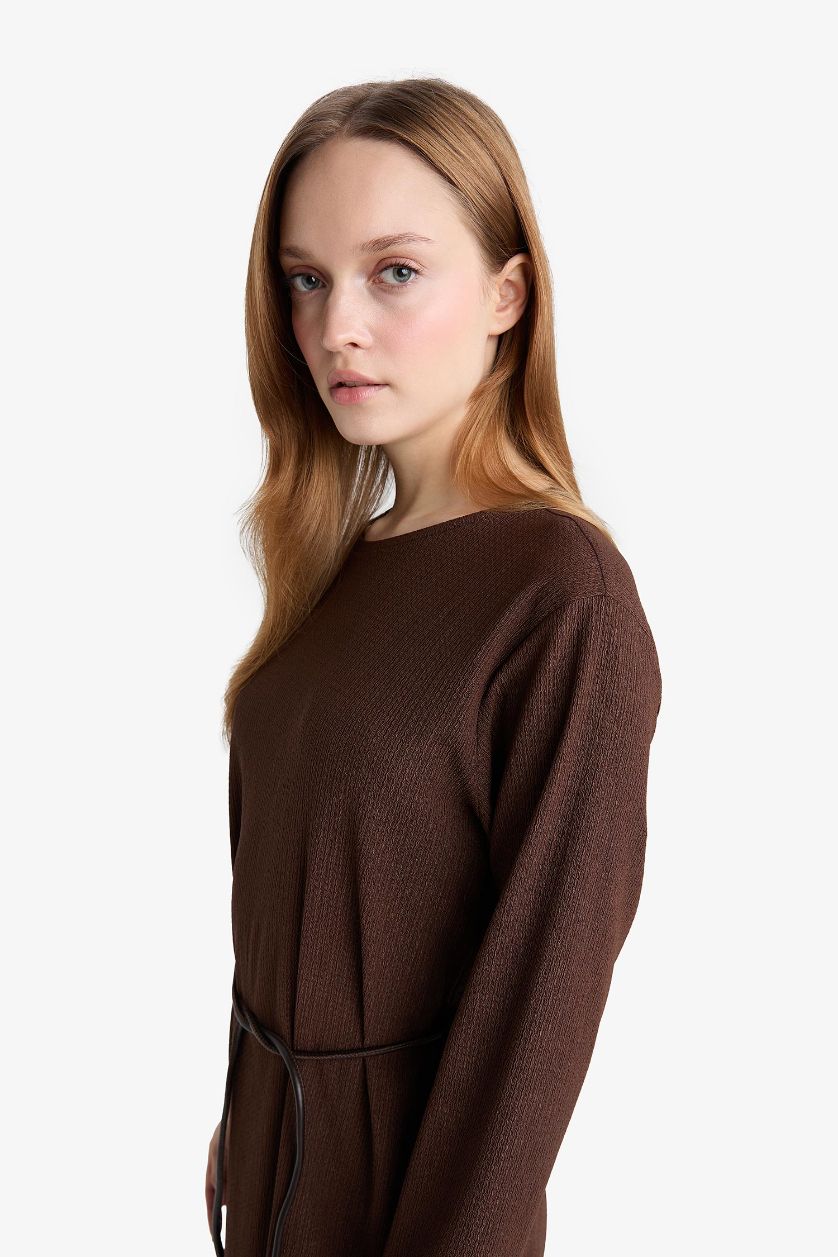 Woman Brown Regular Fit Dress