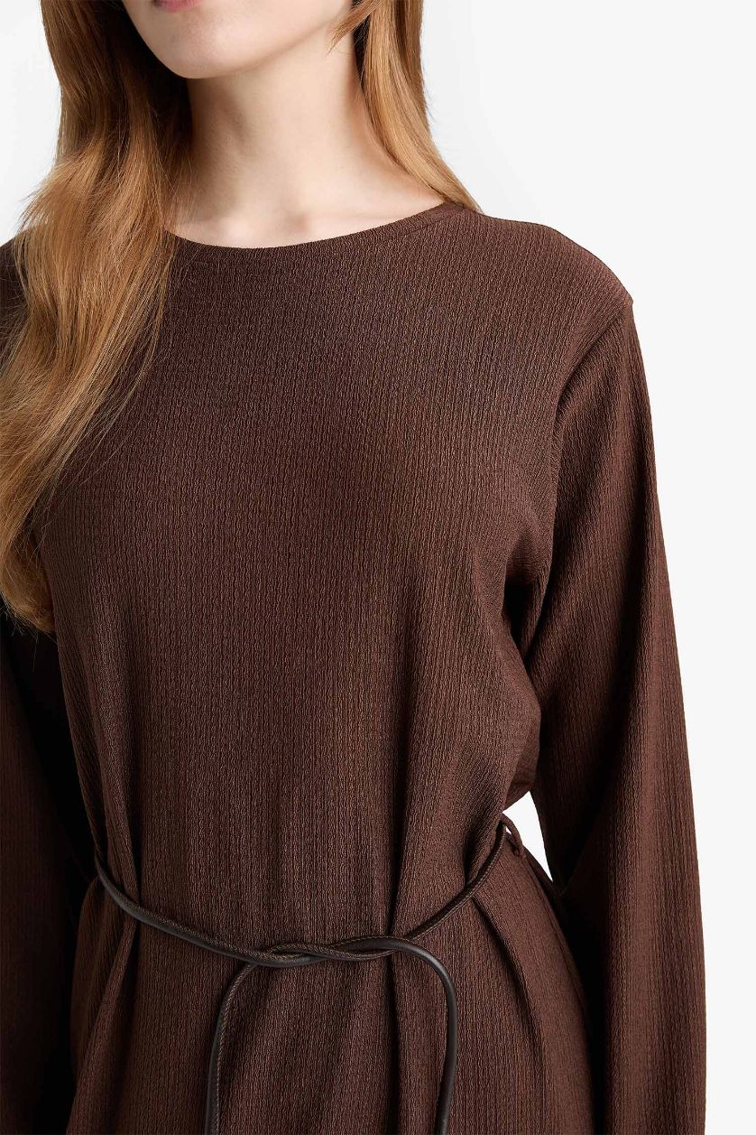 Woman Brown Regular Fit Dress