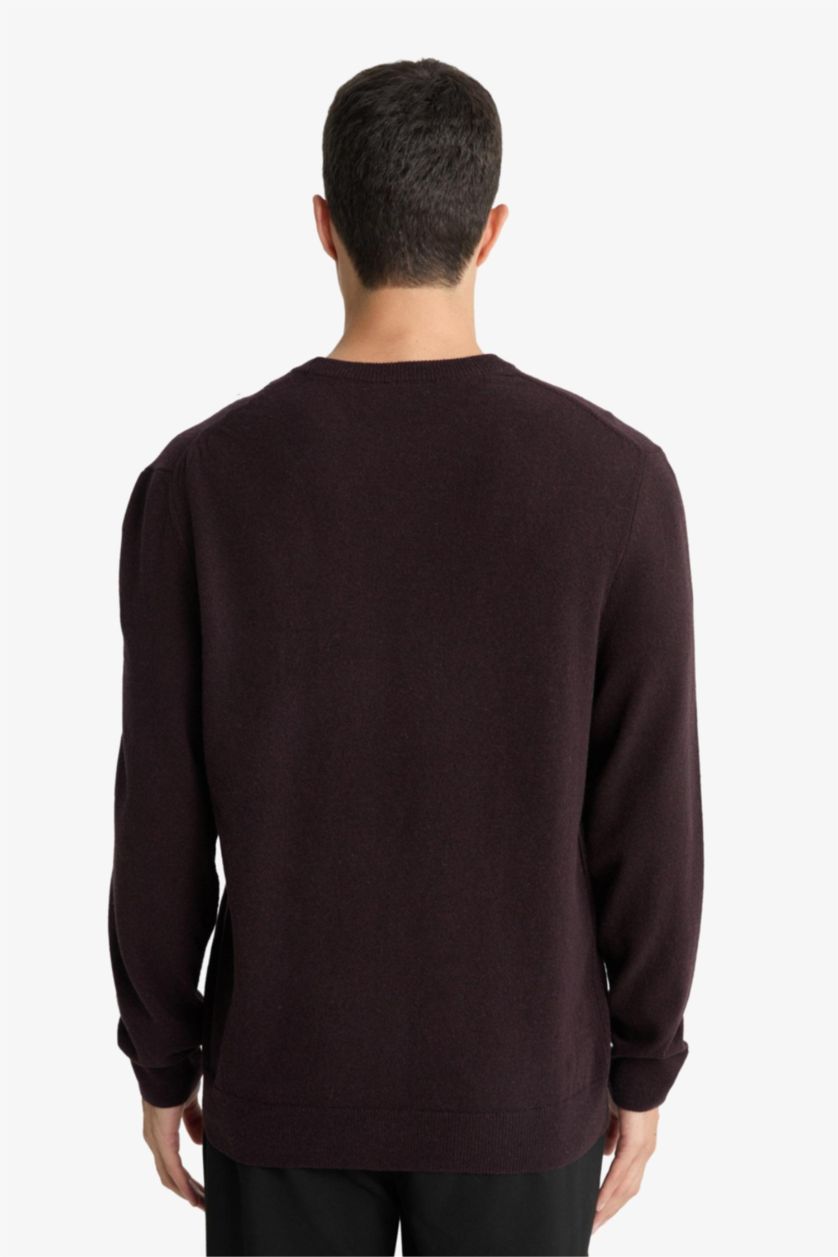 Man Dark Bordeaux 100% Wool Standard Fit Crew Neck Pullover