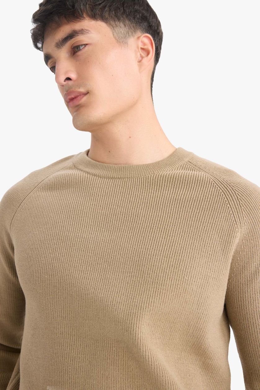 HOMME Beige Pull en  tricot à col rond Coupe standard