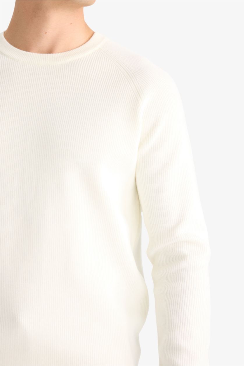 Мужчины Бежевый Стандартный трикотажный свитер с круглым вырезом