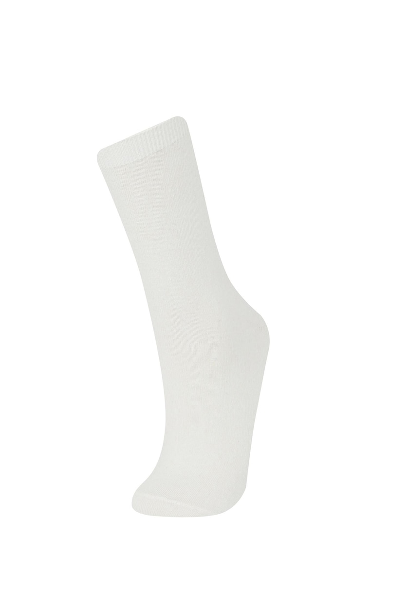 نساء بني 5 Piece Long sock