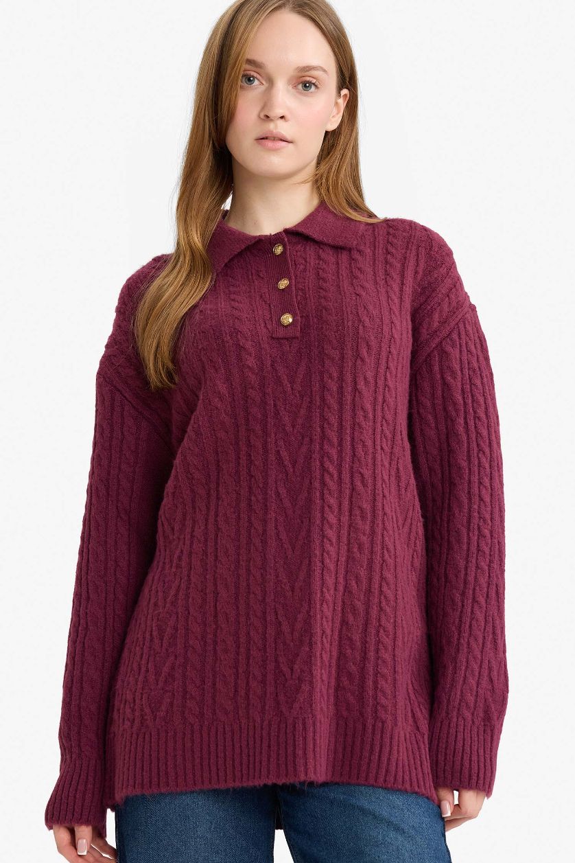 WOMAN Dark Purple Regular Fit Polo Collar Knitwear Tunic