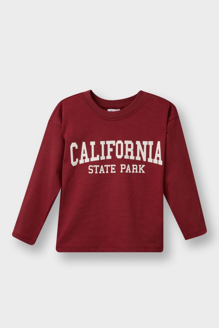 Erkek Bebek Antrasit Bisiklet Yaka Baskılı 2'li Uzun Kollu Tişört Erkek Bebek