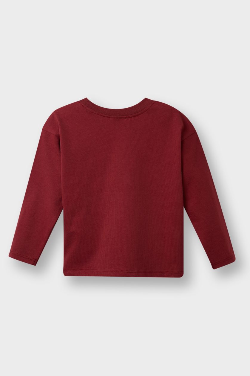 Erkek Bebek Antrasit Bisiklet Yaka Baskılı 2'li Uzun Kollu Tişört Erkek Bebek