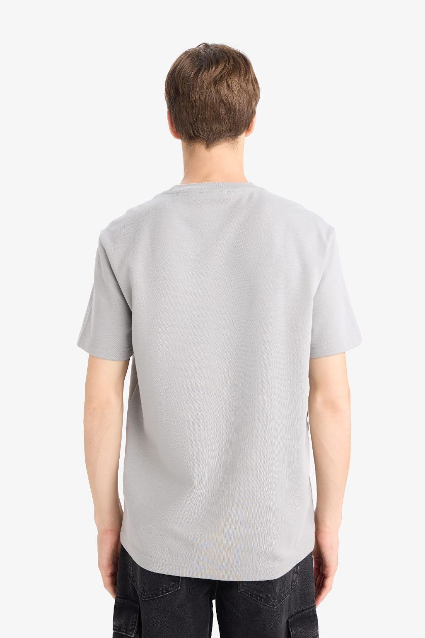 Man Light Grey Regular Fit Crew Neck Printed Short Sleeve T-Shirt