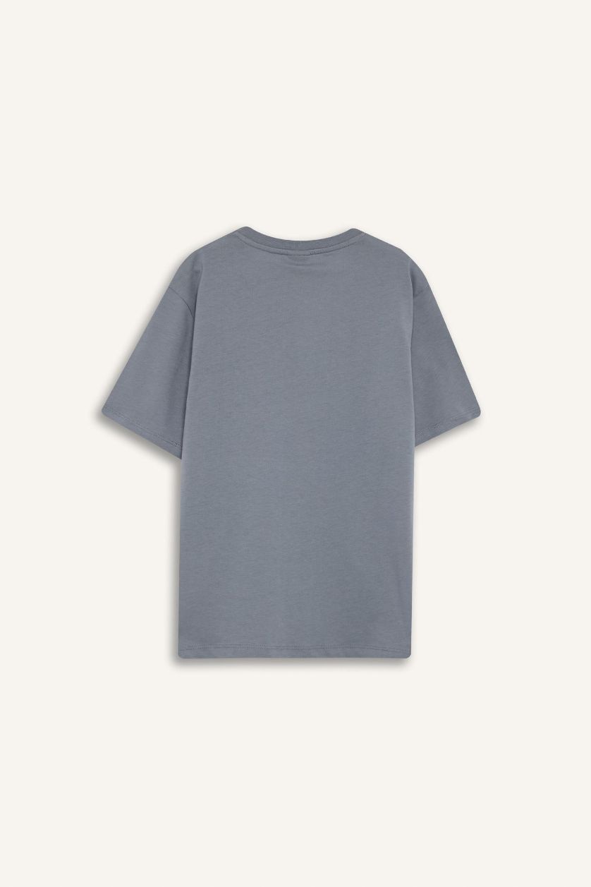 Erkek Çocuk - Genç Erkek Gri Bisiklet Yaka Baskılı Kısa Kollu Tişört Erkek Çocuk