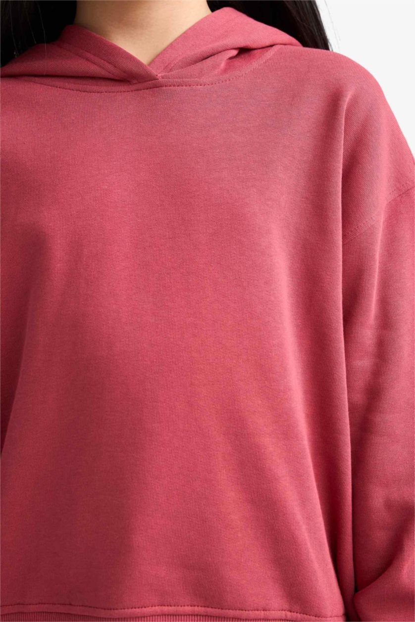 بناتي خمري فاتح سويت شيرت بناتي تقيل قصة مريحة ببطانة ناعمة وطبعة أنيمة