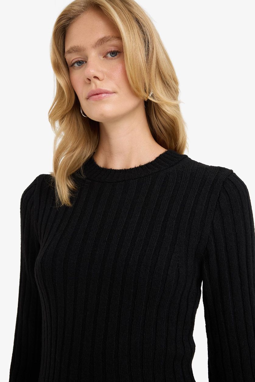 Kadın Siyah Bisiklet Yaka Ribana Uzun Kollu Mini Elbise 