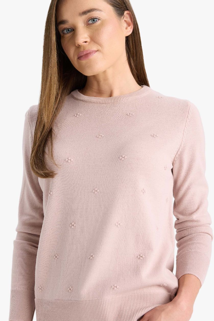 نساء زهري فاتح بلوز صوف قصة عادية بياخة مستديرة