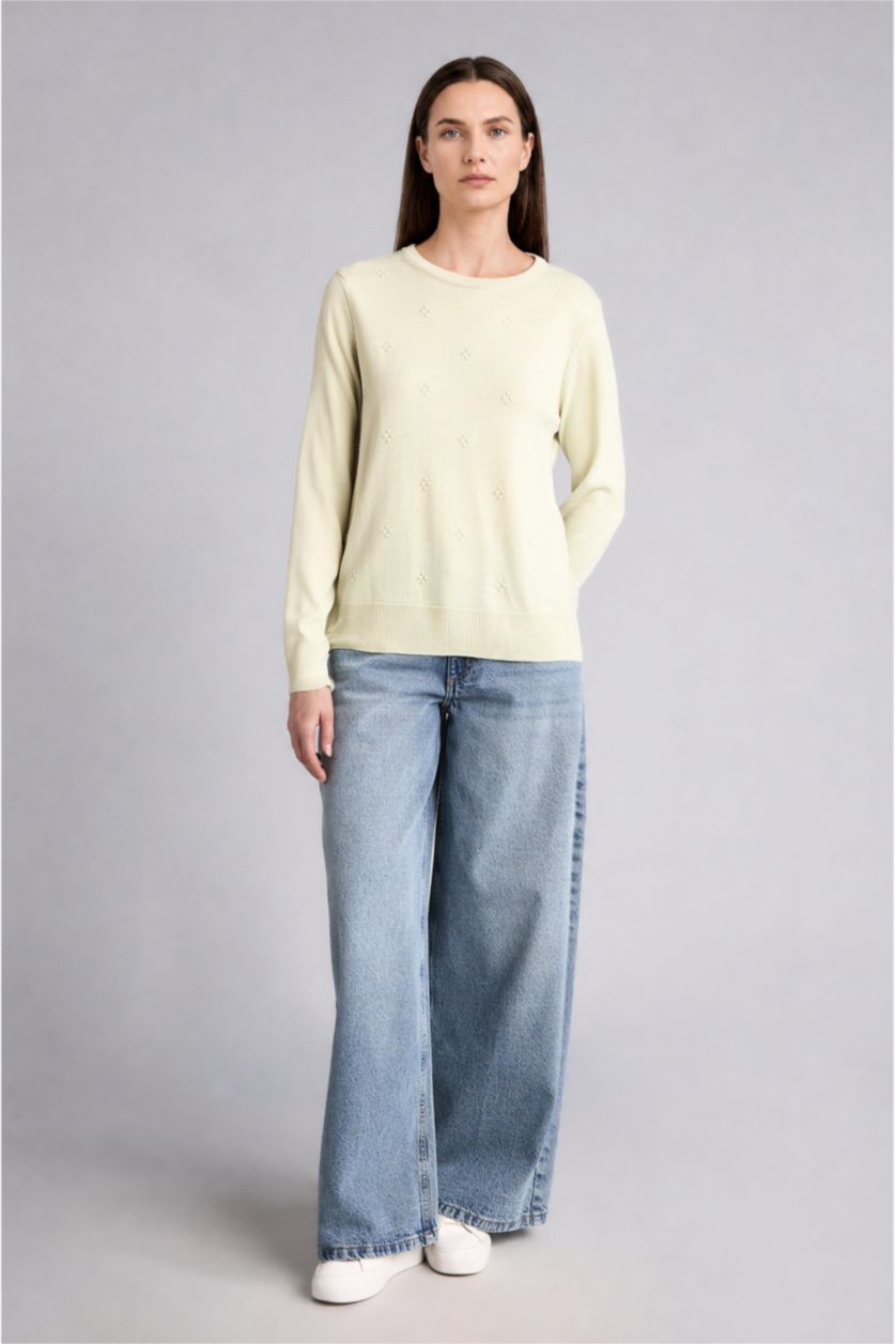 WOMAN Light Green Regular Fit Crew Neck Light Green Knit Pullover