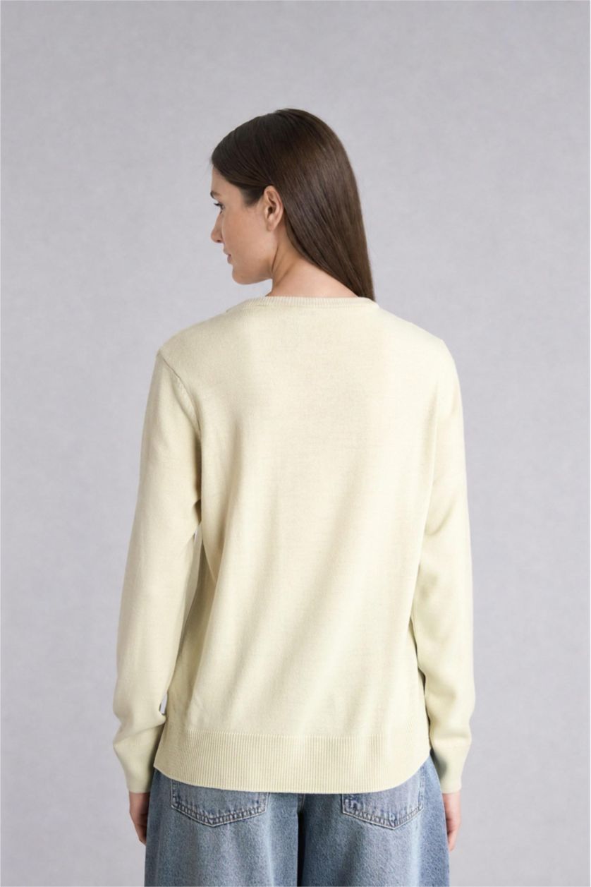 WOMAN Light Green Regular Fit Crew Neck Light Green Knit Pullover