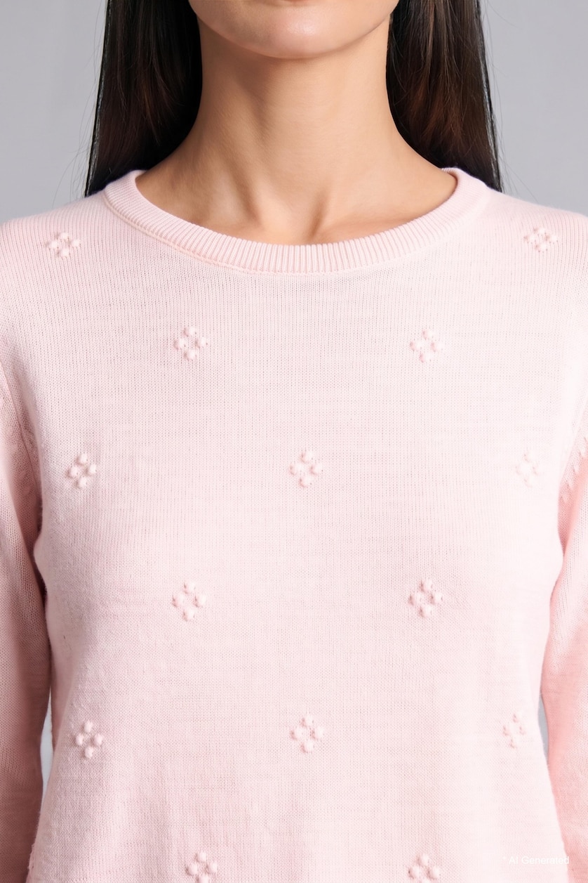 Women Pink Regular Fit Basic Knitted Crew Neck Sweater