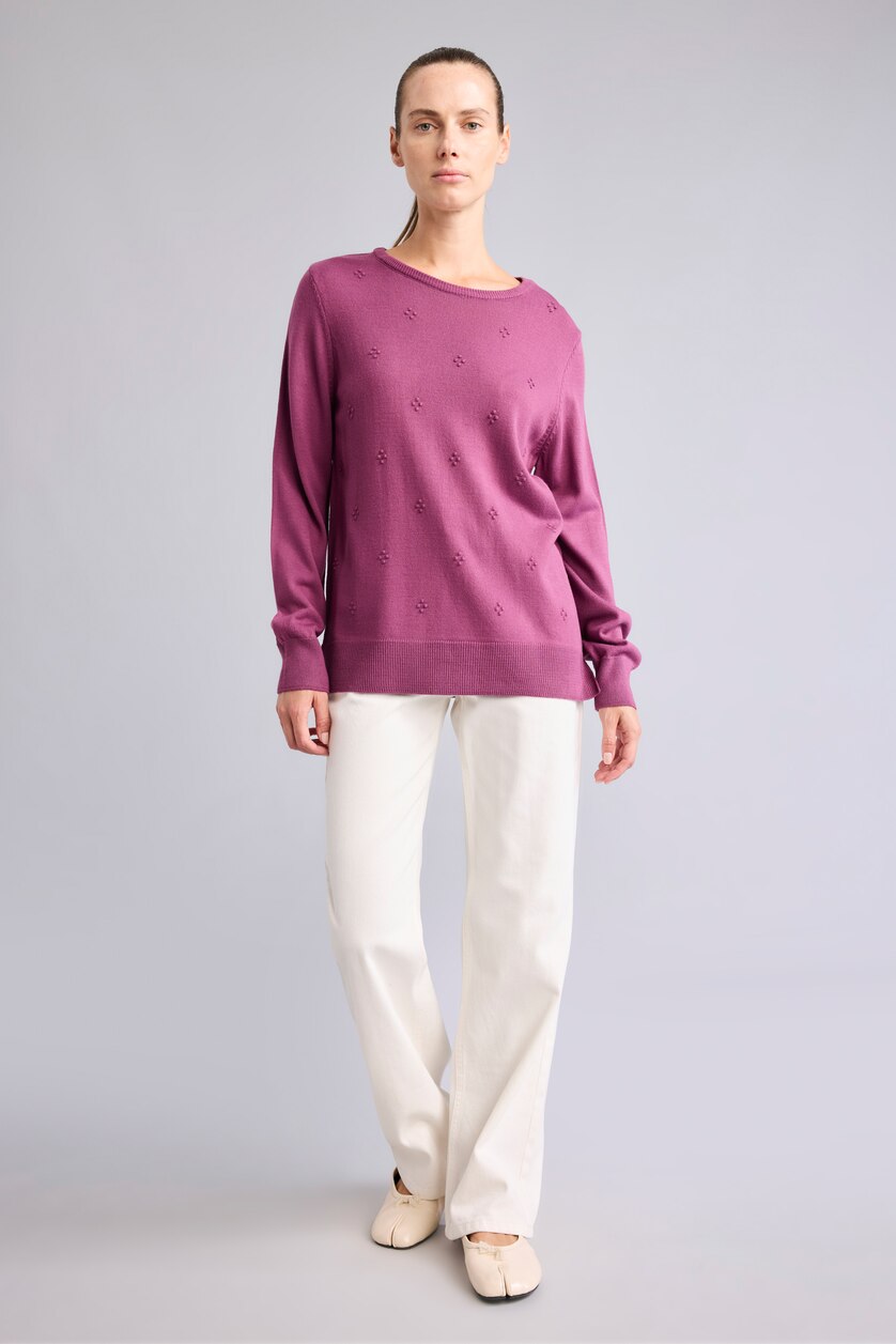 Woman Purple Regular Fit Knitwear Pullover