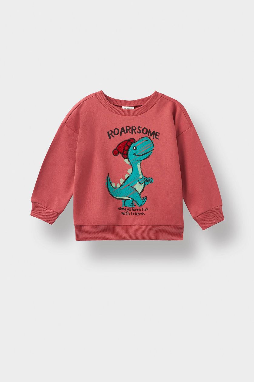 Erkek Bebek Koyu Gülkurusu Bisiklet Yaka Dinozor Baskılı İçi Yumuşak Tüylü Sweatshirt Erkek Bebek