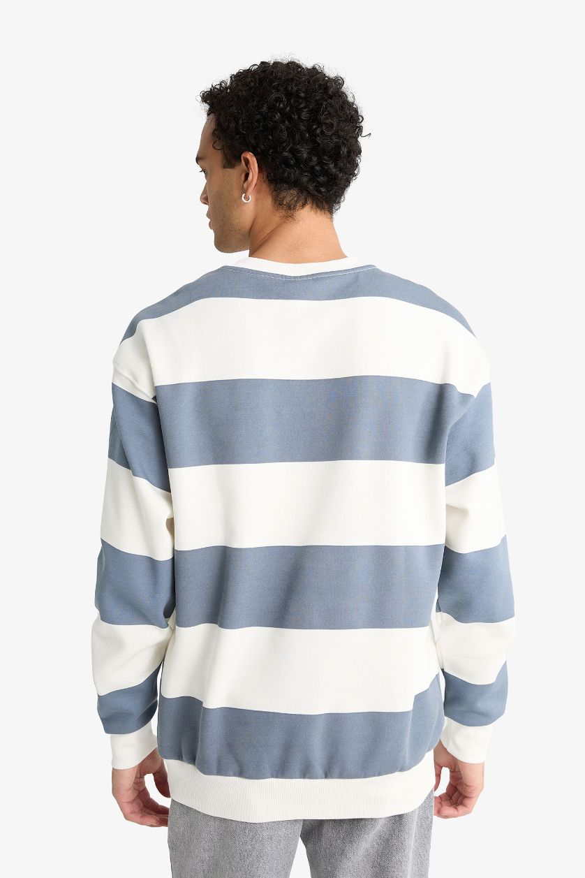 Erkek Gri Boxy Fıt Bisiklet Yaka Çizgili Sweatshirt