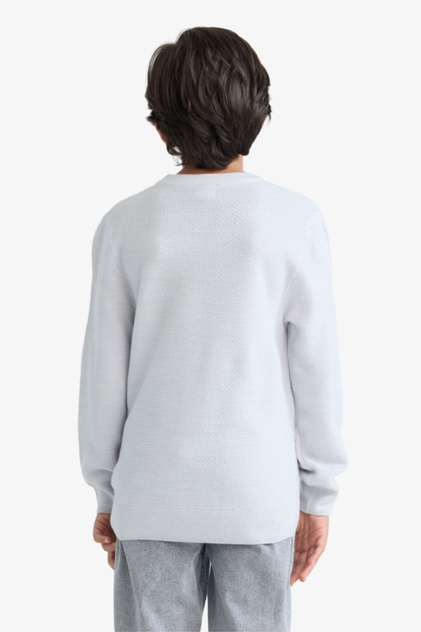 Ұлдар Және Жасөспірімдер Ашық сұр Ұлдарға қалыпты пішім Пулловер