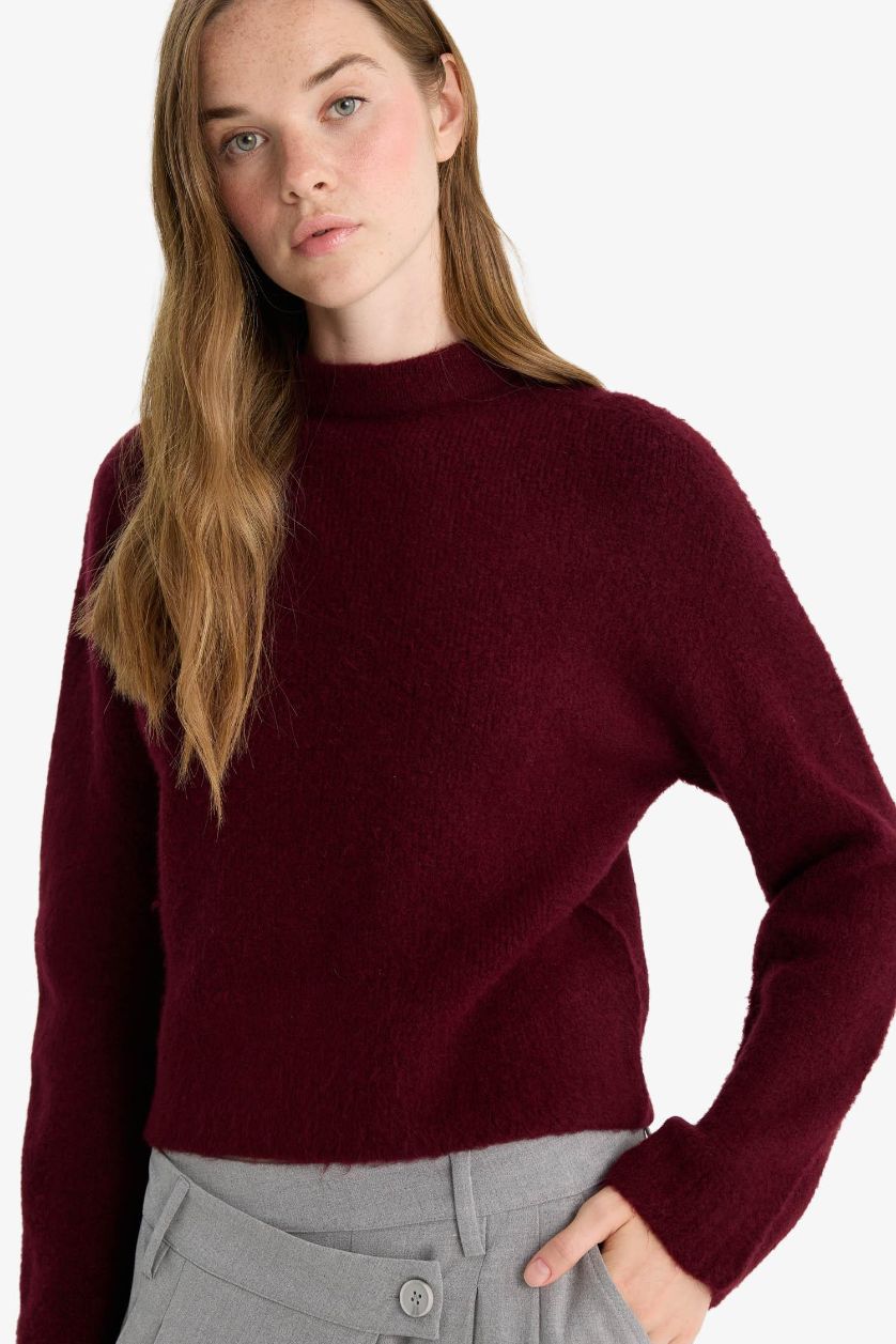 نساء خمري بلوز صوف قصة عادية بنص ياخة مدورة