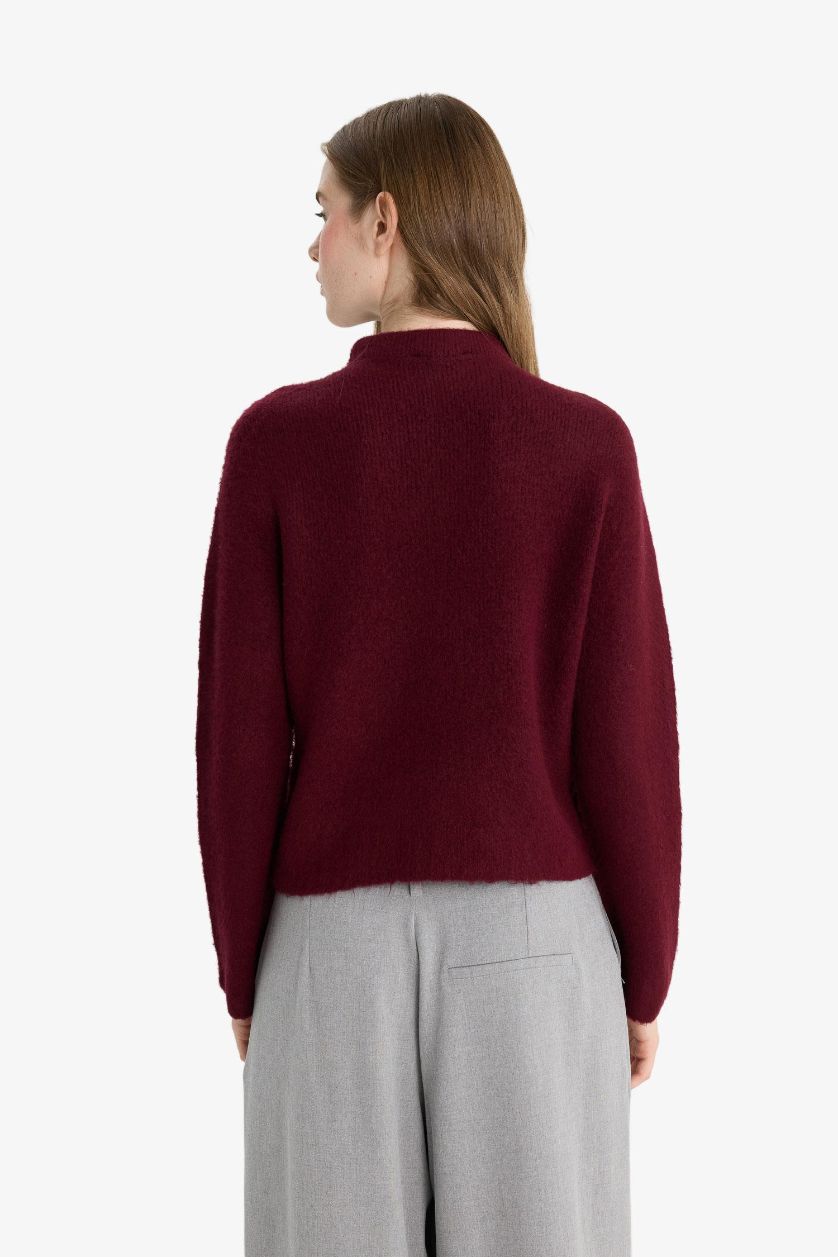 نساء خمري بلوز صوف قصة عادية بنص ياخة مدورة