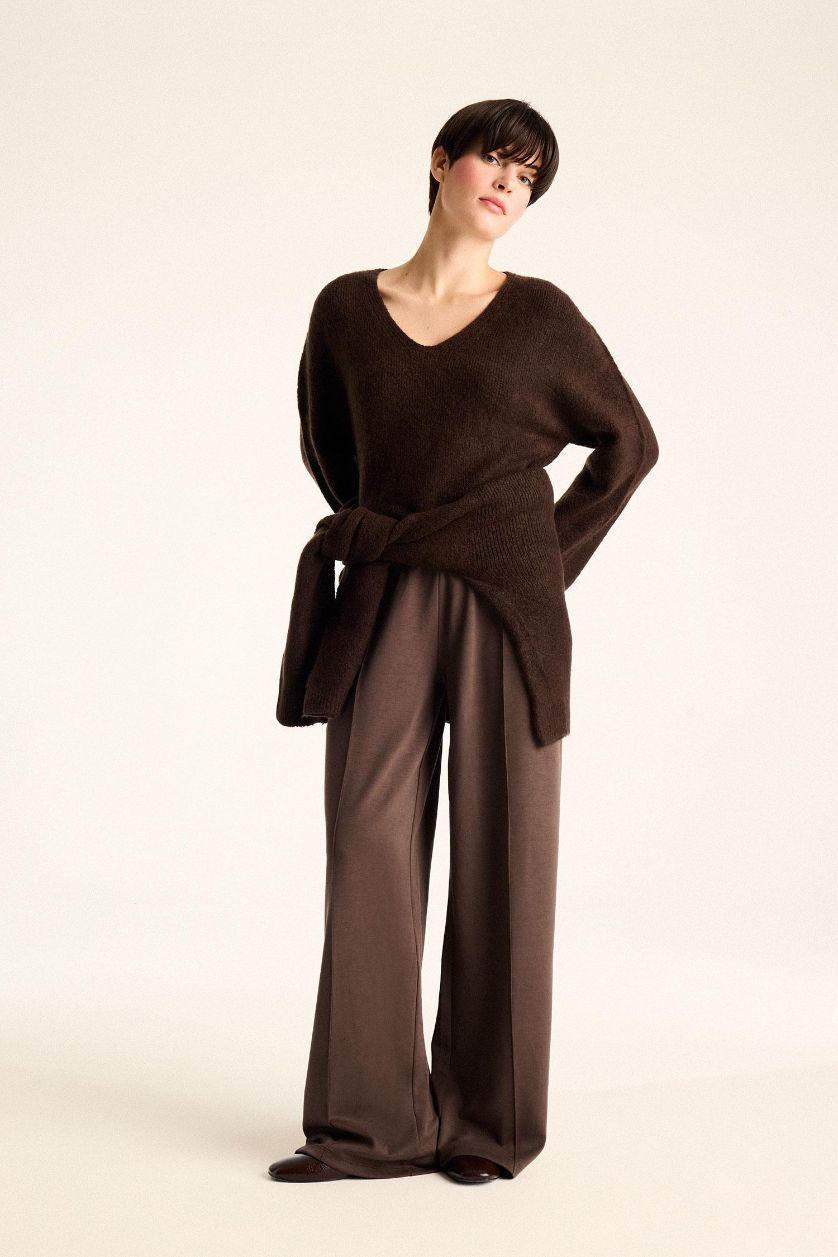 Woman Brown Regular Fit V-Neck Pullover