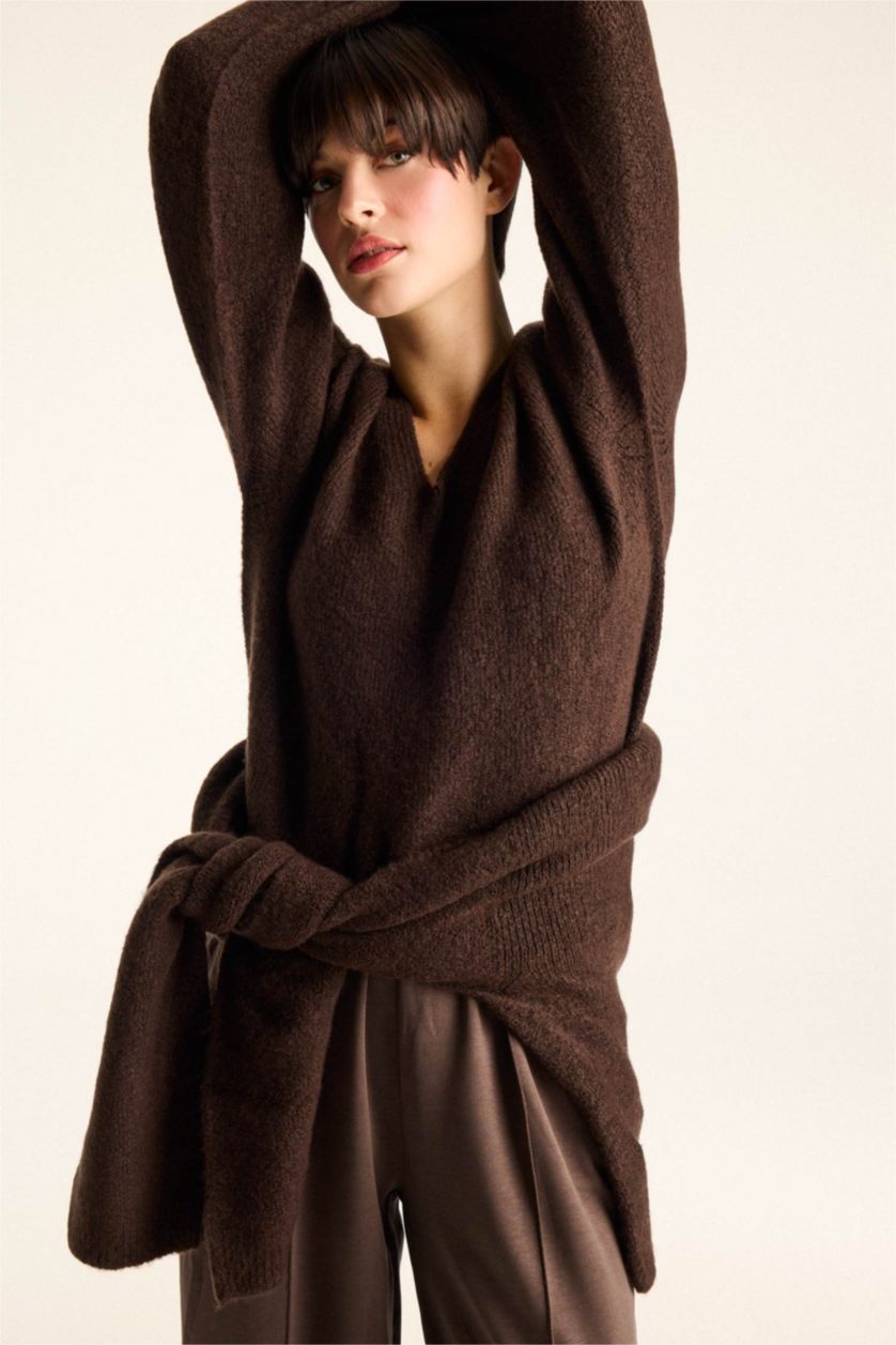 Women Brown Regular Fit Pullover