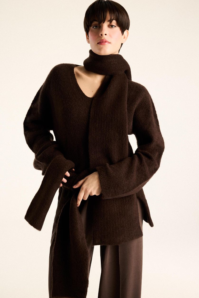 Woman Brown Regular Fit V-Neck Pullover