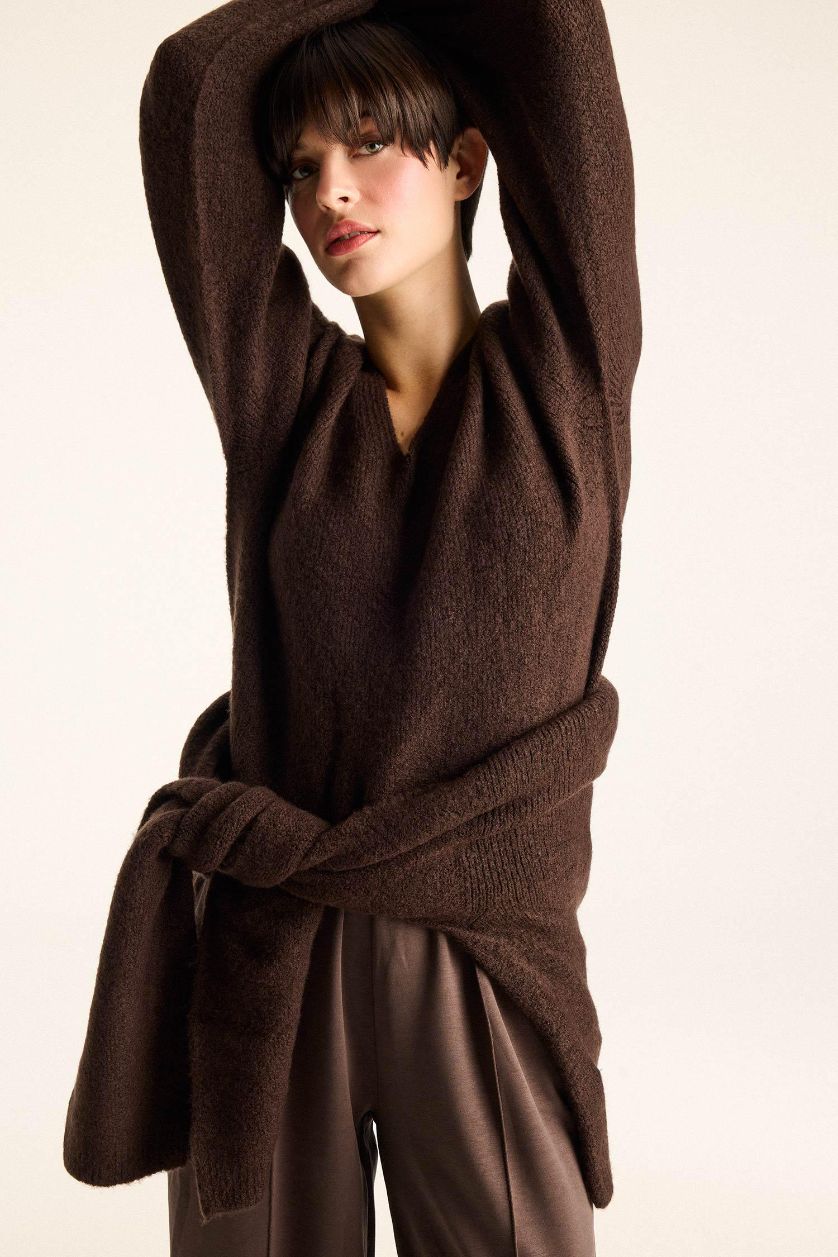 Woman Brown Regular Fit V-Neck Pullover