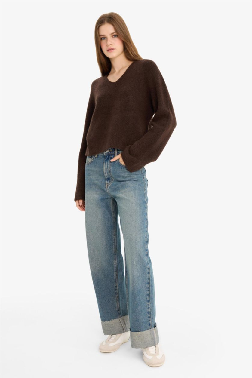 Women Brown Regular Fit Pullover