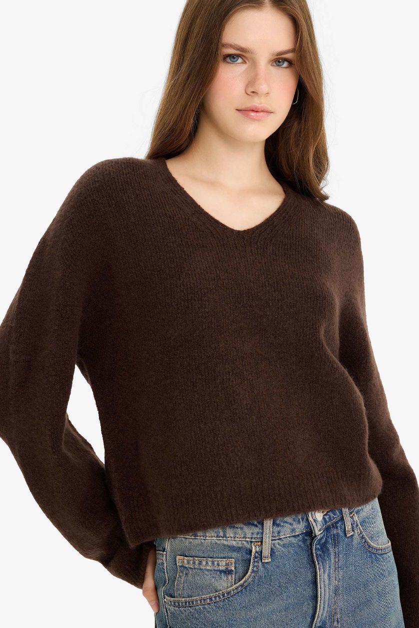 Woman Brown Regular Fit V-Neck Pullover