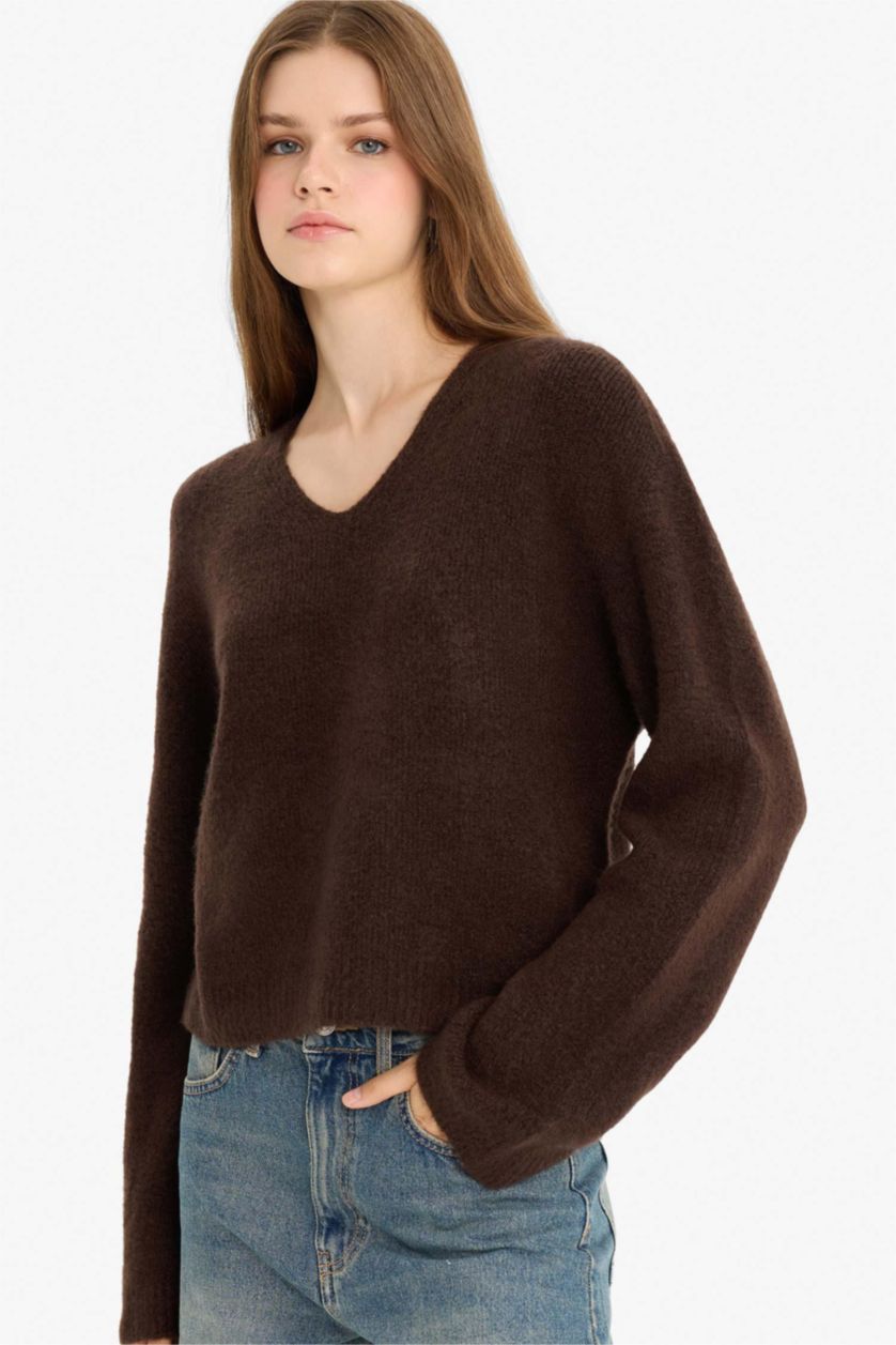 Women Brown Regular Fit Pullover