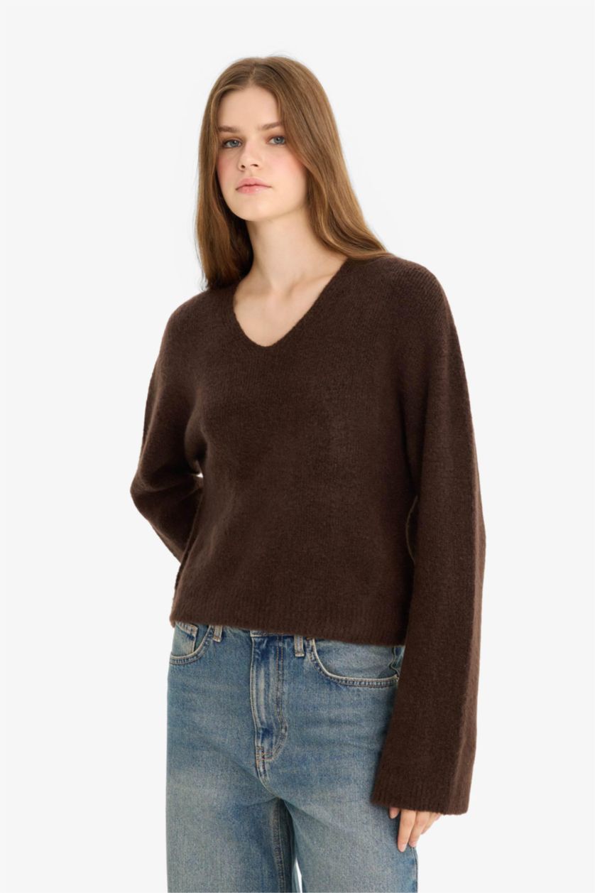 Women Brown Regular Fit Pullover