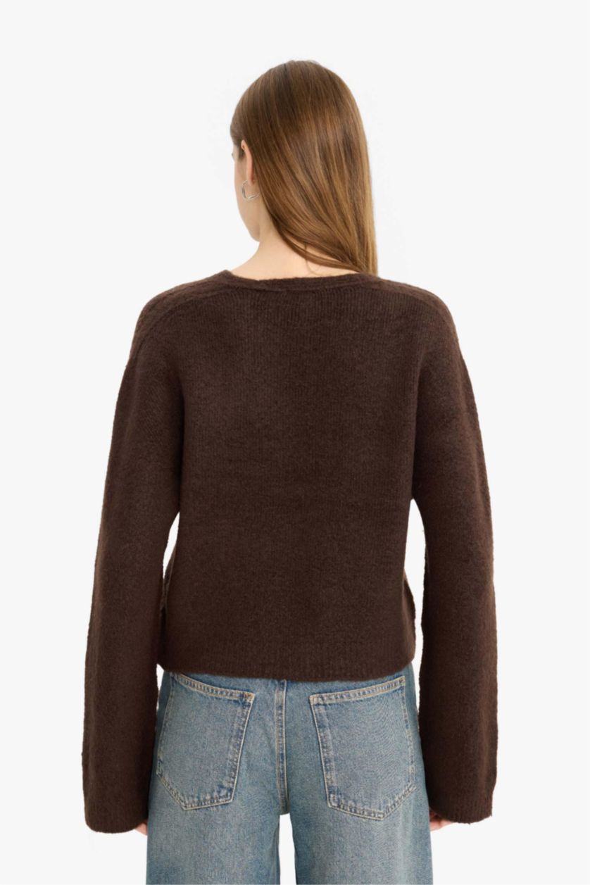 Women Brown Regular Fit Pullover