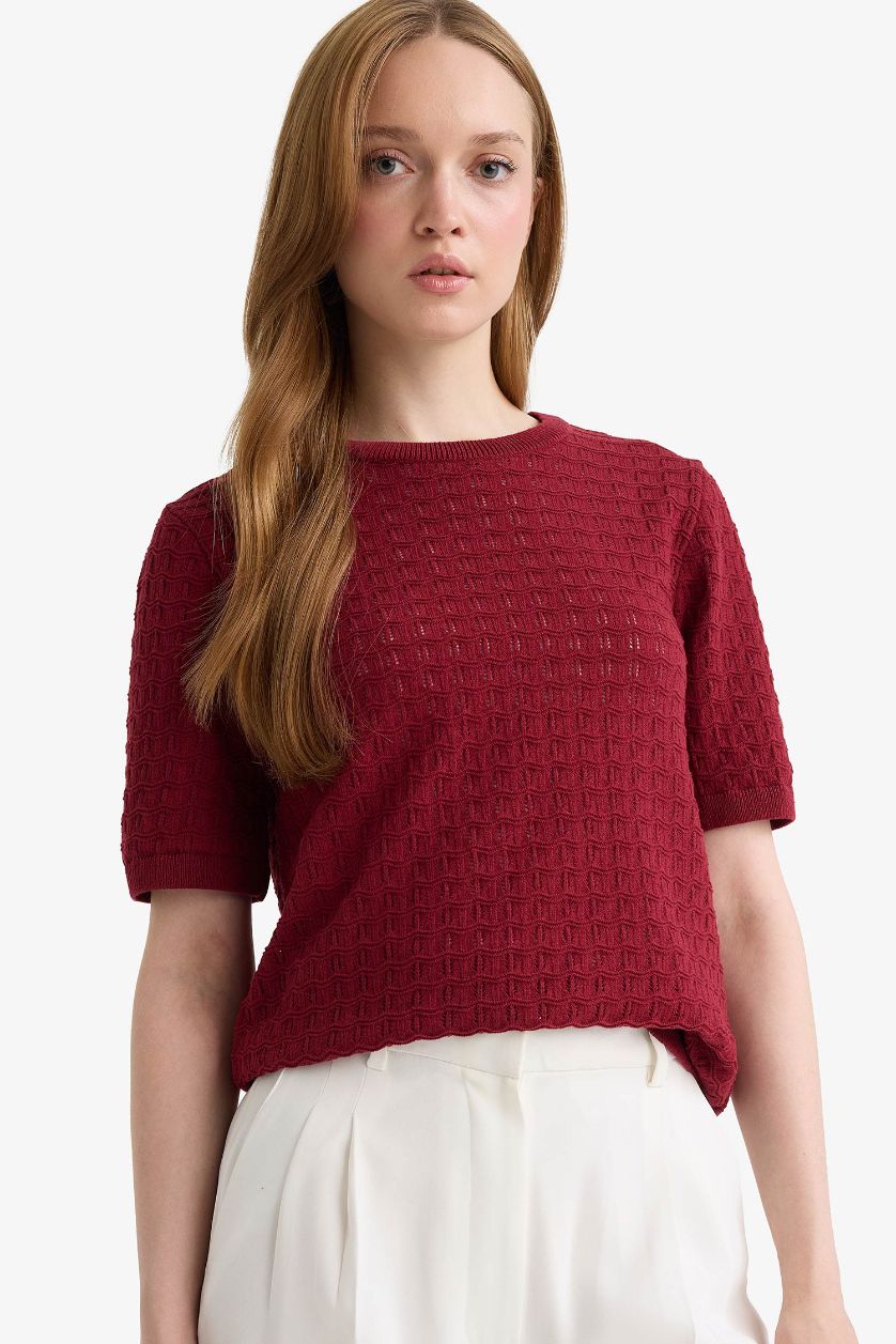 FEMME Bordeaux Pull en maille manches courtes à col rond Coupe régulière