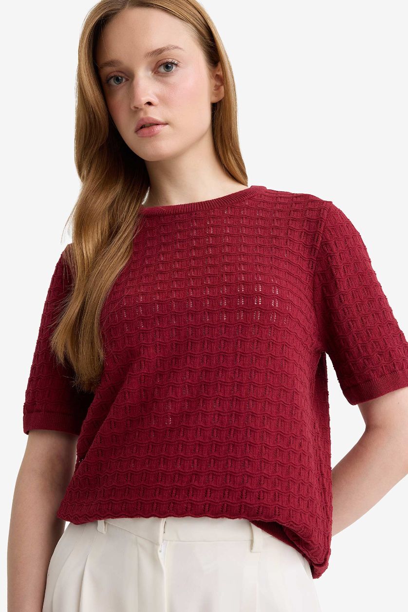 FEMME Bordeaux Pull en maille manches courtes à col rond Coupe régulière