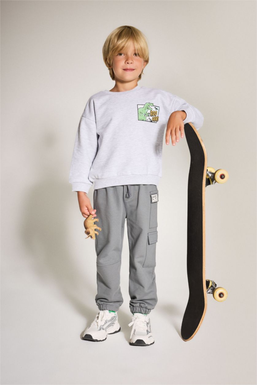 Baby Boy Light Grey Baby Boy Crew Neck Dinosaur Printed Sweatshirt