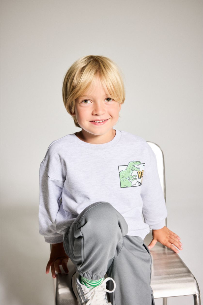Baby Boy Light Grey Baby Boy Crew Neck Dinosaur Printed Sweatshirt