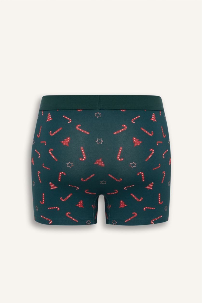 Erkek Yeşil Yıkbaşı Temalı Regular Fit Boxer