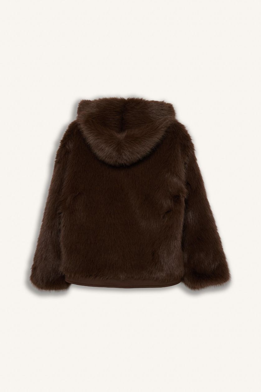 Woman Brown Regular Fit Fur Faux Fur