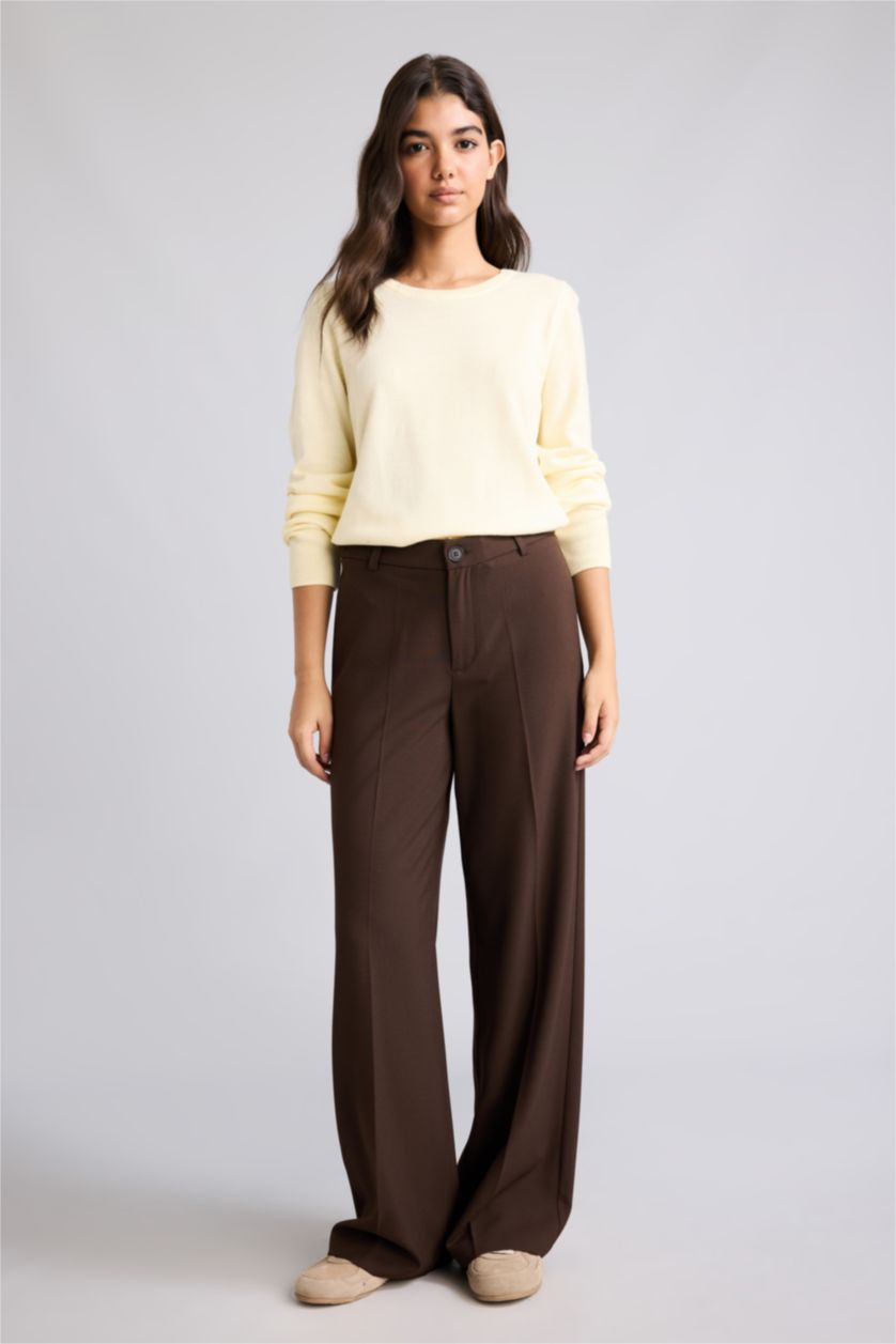 Women Brown Normal Waist Straight Fit Trousers