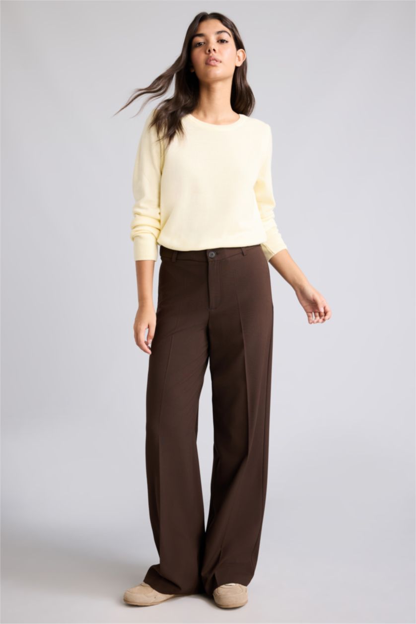 Women Brown Normal Waist Straight Fit Trousers