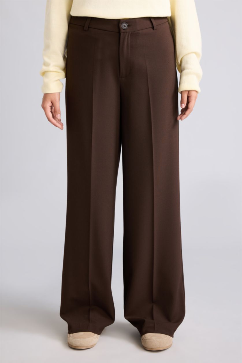 Women Brown Normal Waist Straight Fit Trousers