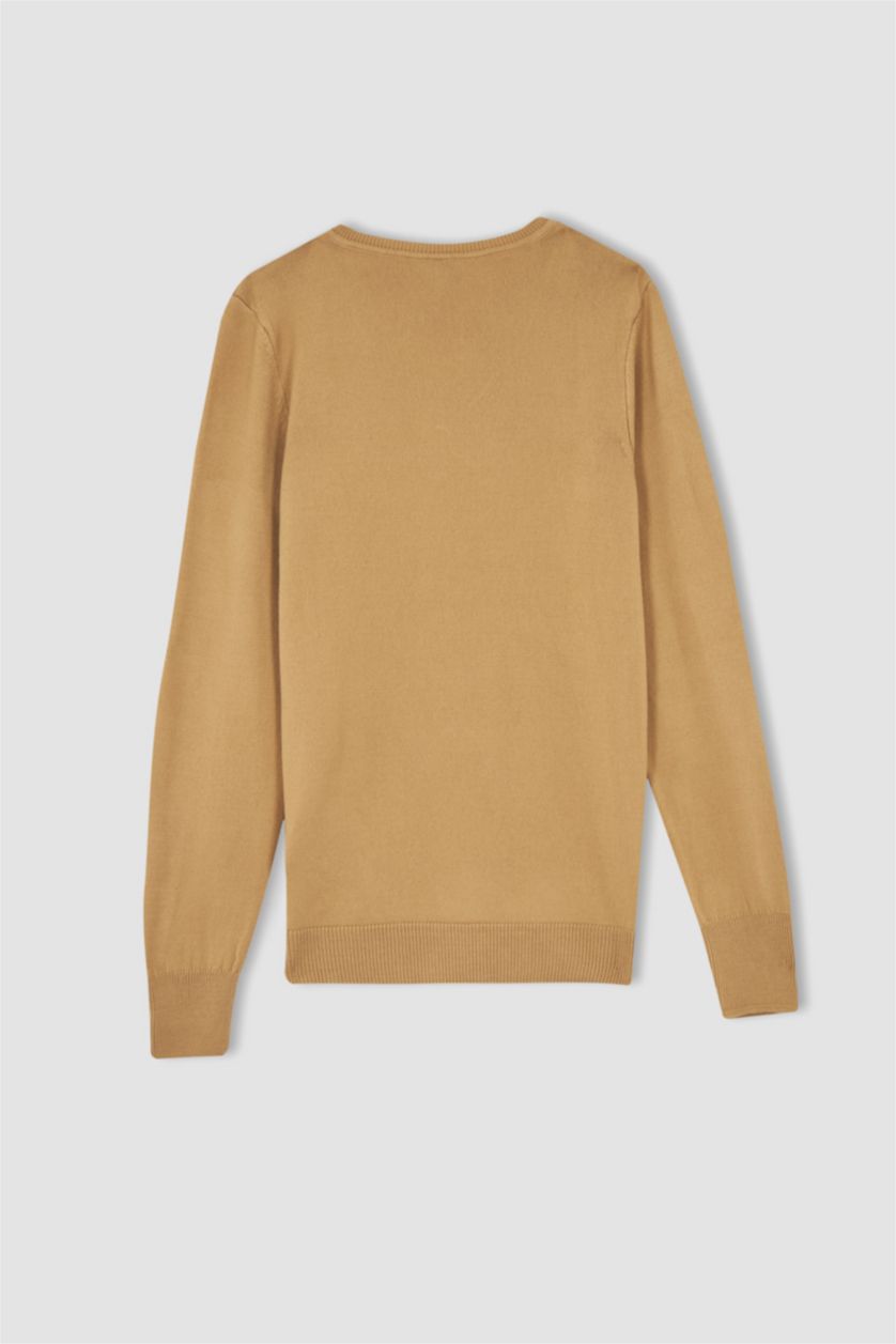 WOMAN Camel Regular Fit V-Neck Pullover