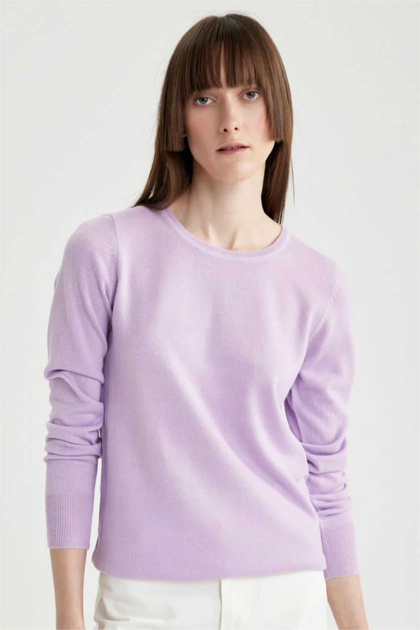 Woman Light Lilac Regular Fit Crew Neck Pullover