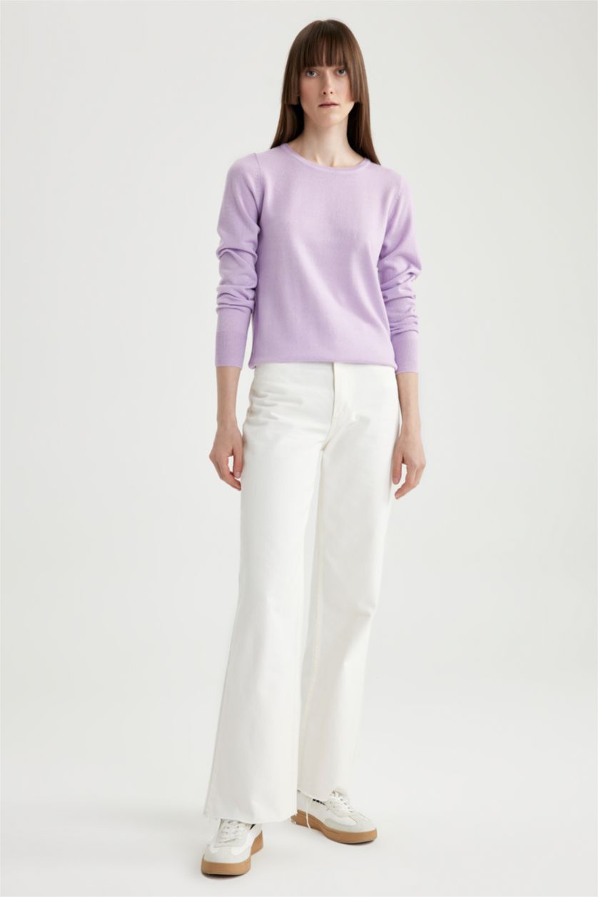 Woman Light Lilac Regular Fit Crew Neck Pullover
