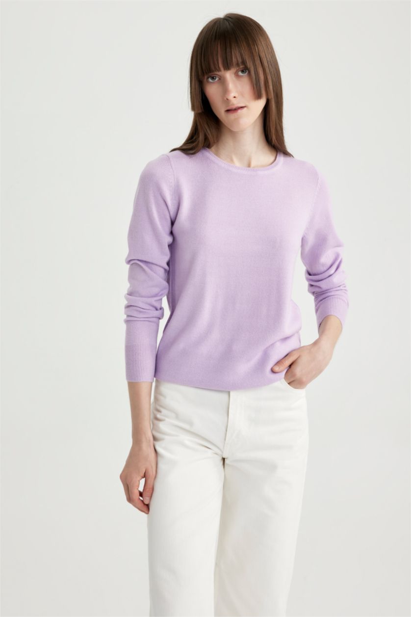 Woman Light Lilac Regular Fit Crew Neck Pullover