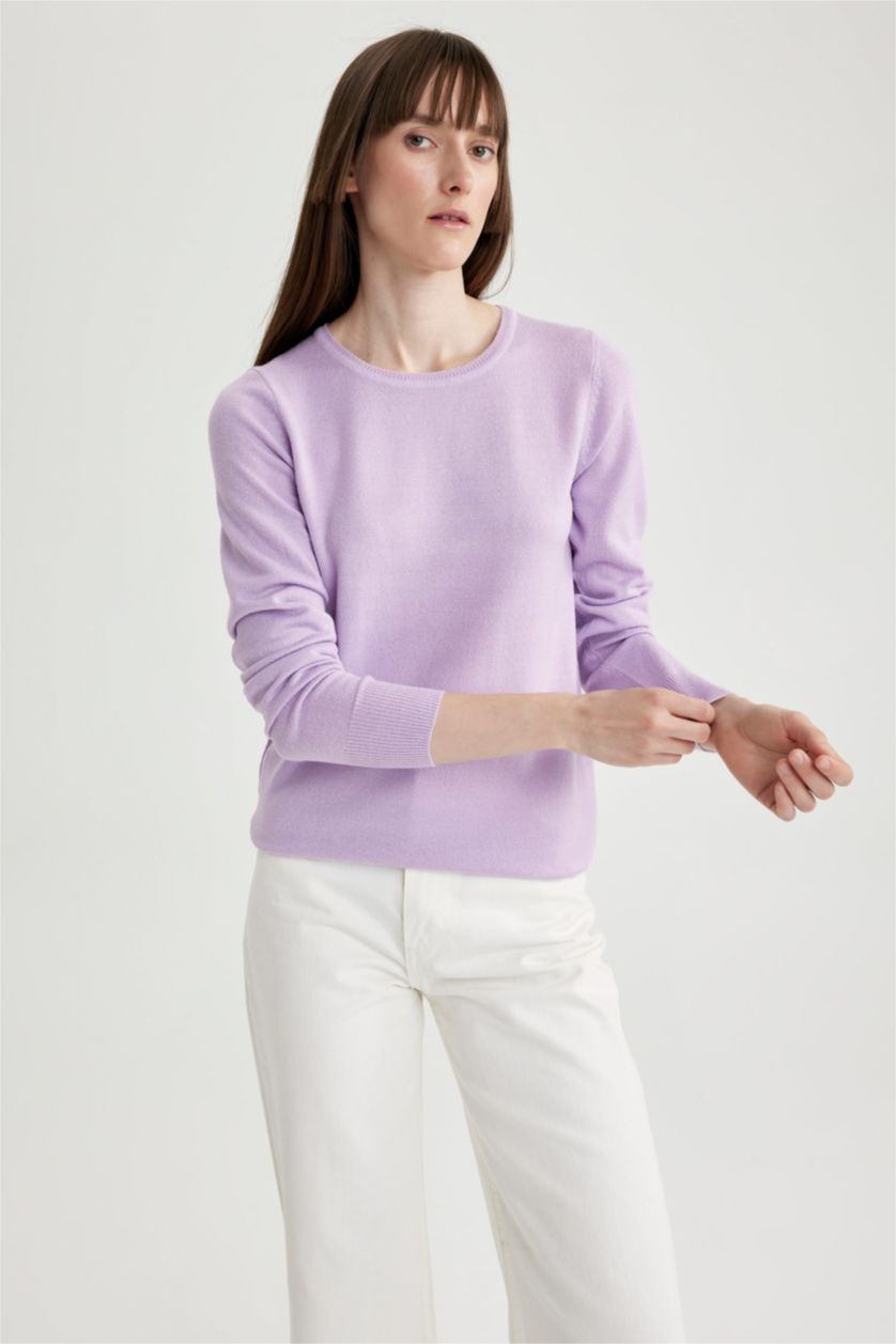Woman Light Lilac Regular Fit Crew Neck Pullover
